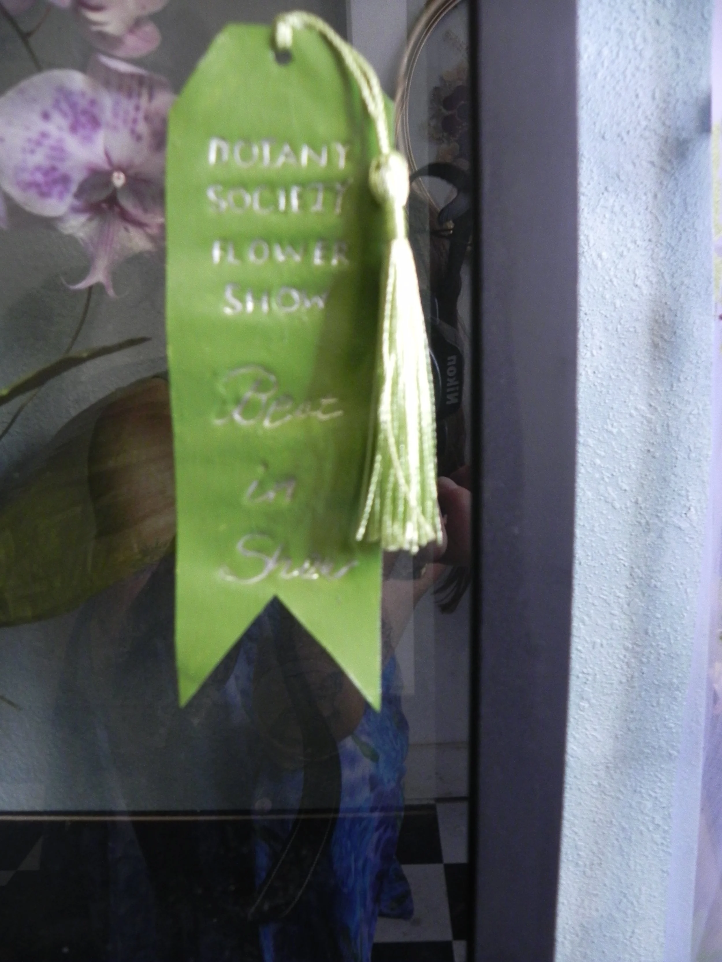 DSCN0938.JPG