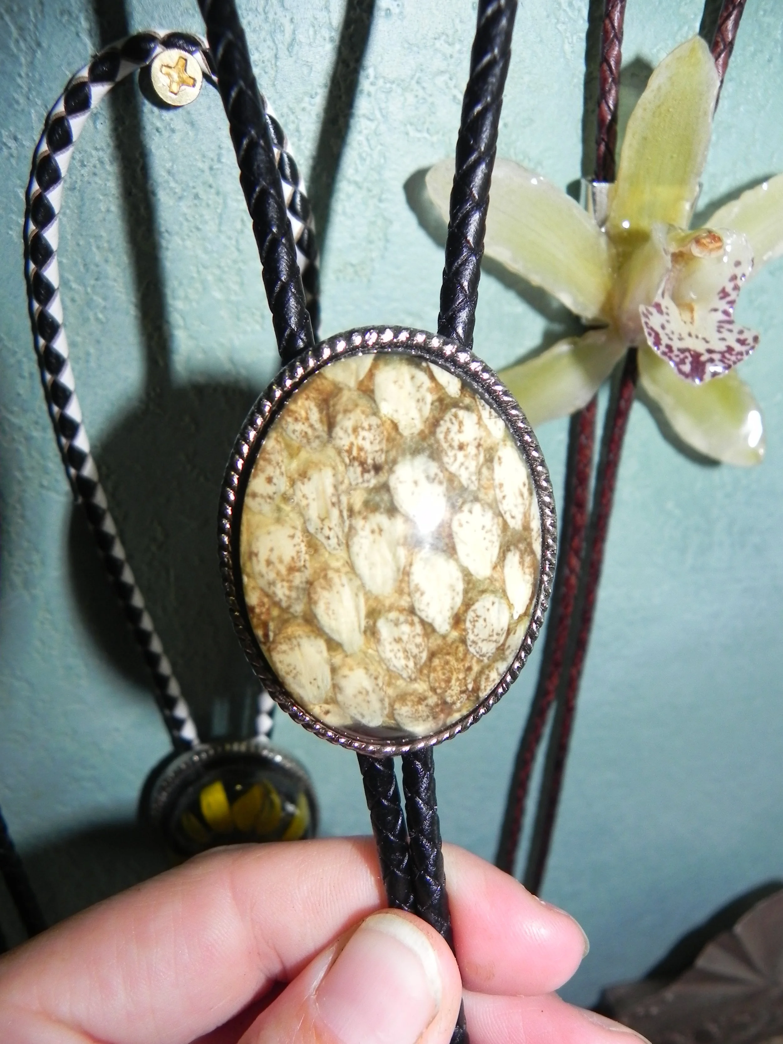 Texas Rattlesnake Bolo, Black Leather Cord