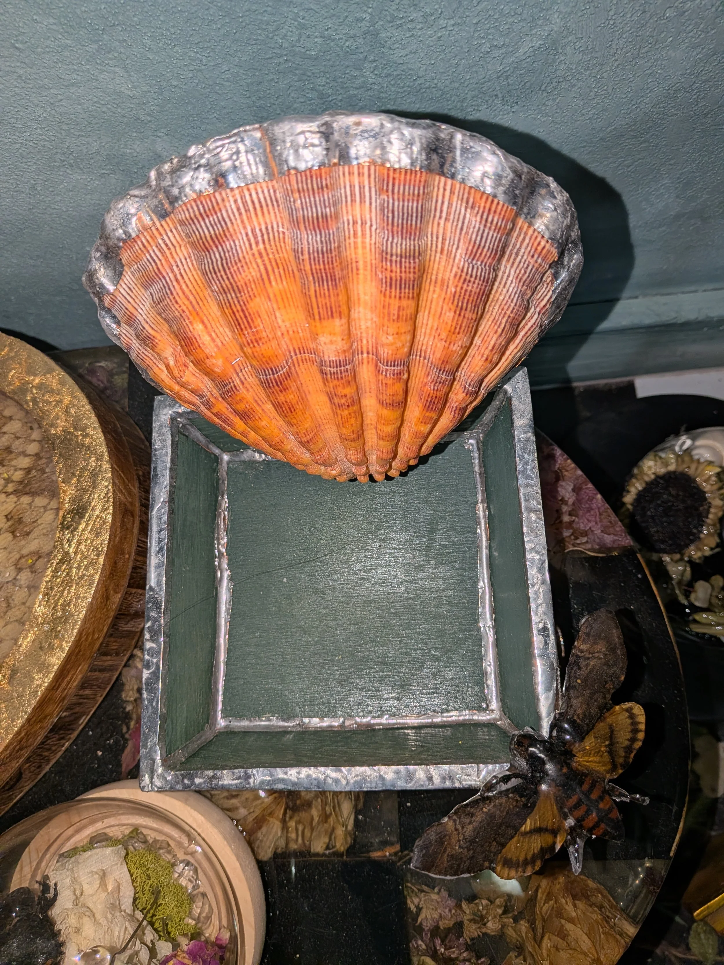 PXL_20260728_193033887.jpg