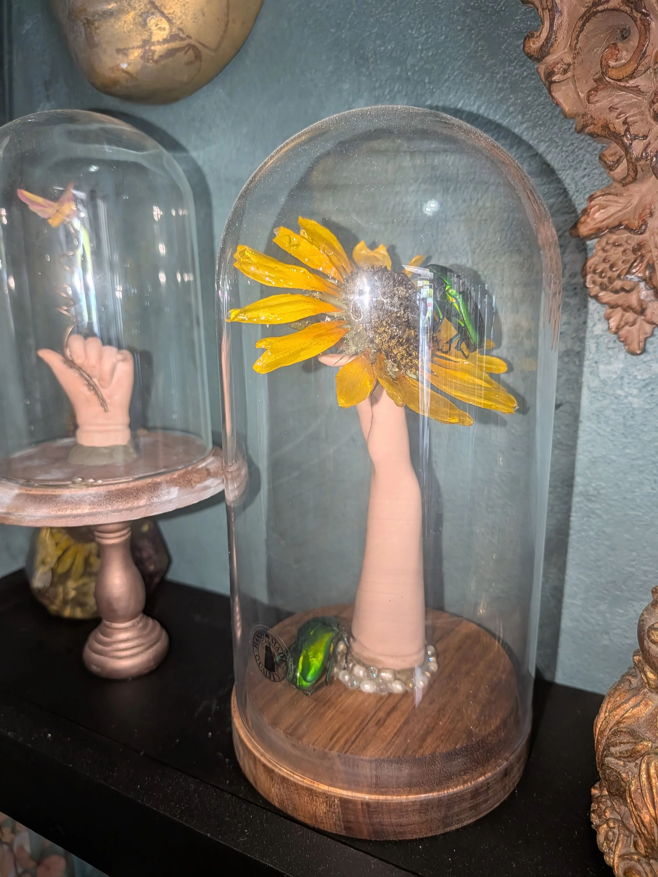 Surreal Sunflower Doll Hand Cloche Display- Dark Academia, Oddities, Avante Garde & Curiosities Decor