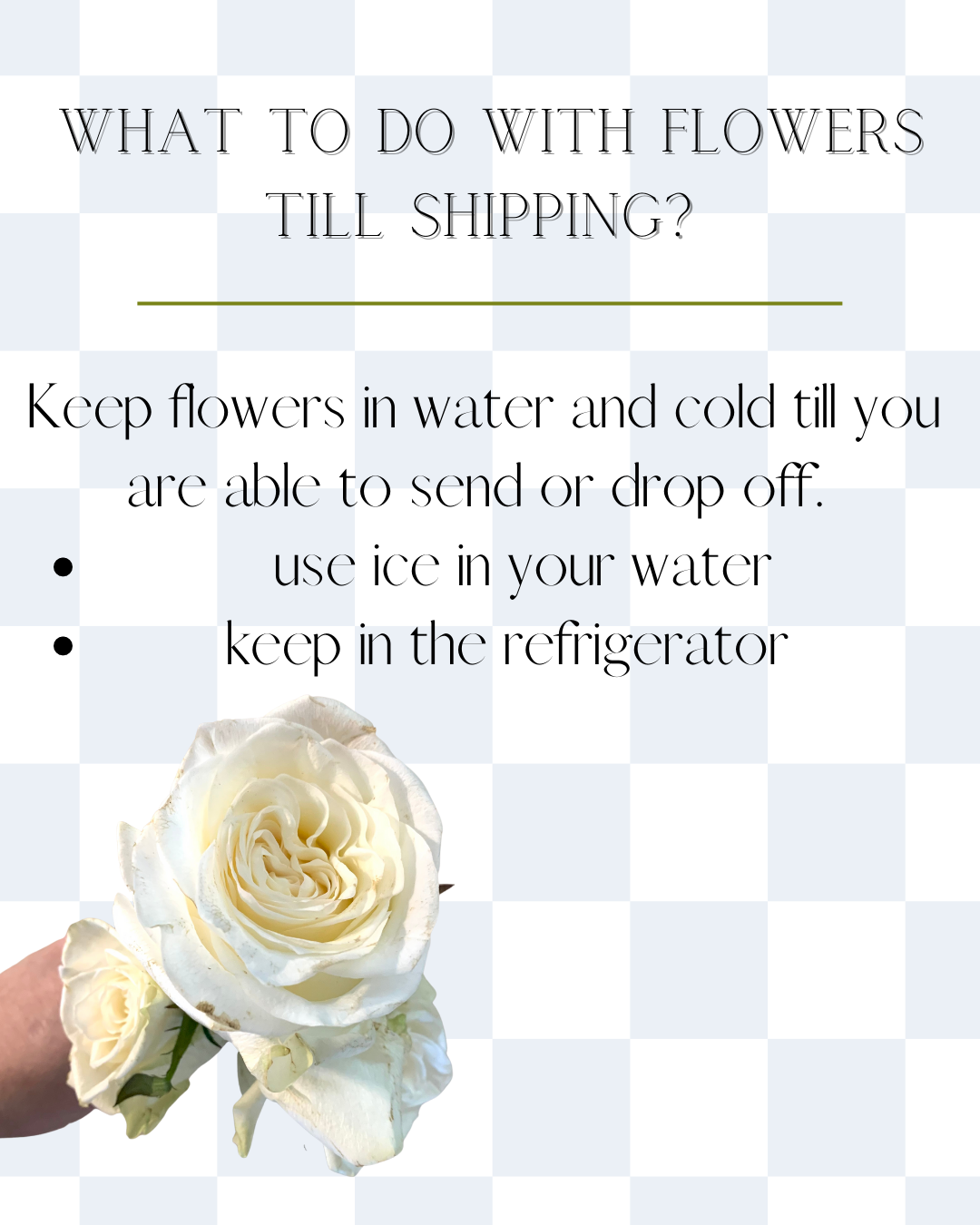 SHIPPING YOUR FLOWERS | Ship Fresh Flowers Today — The Botany Society