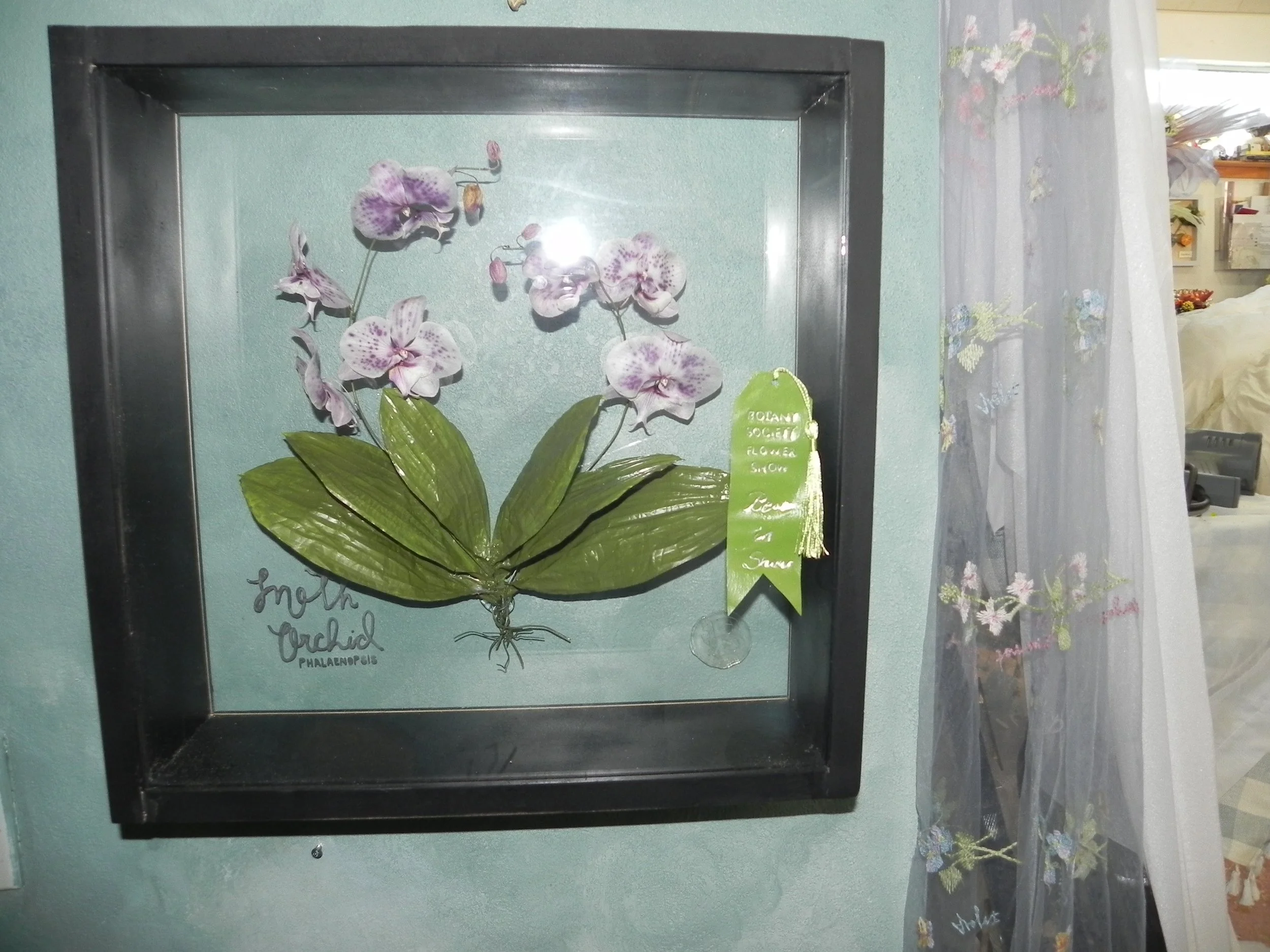 DSCN0933.JPG