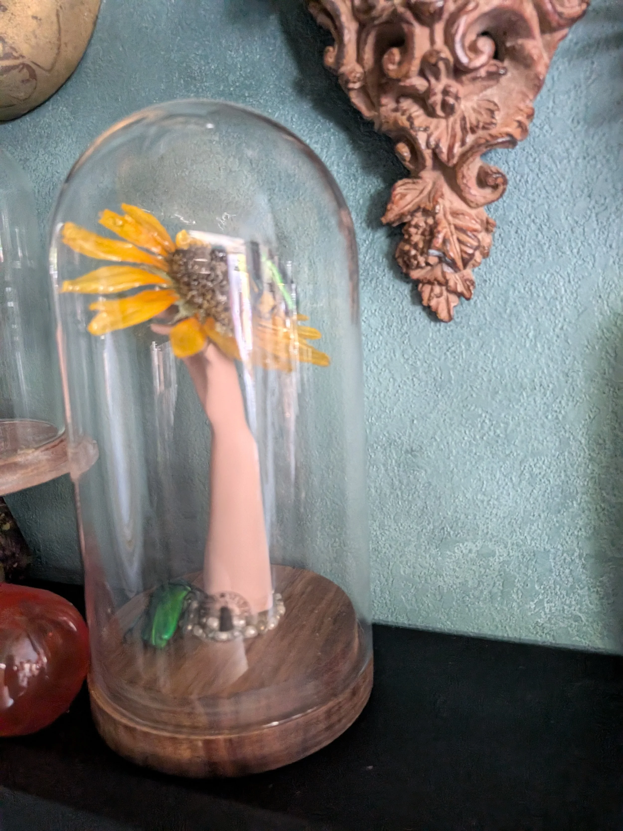 PXL_20260901_154605986.jpg