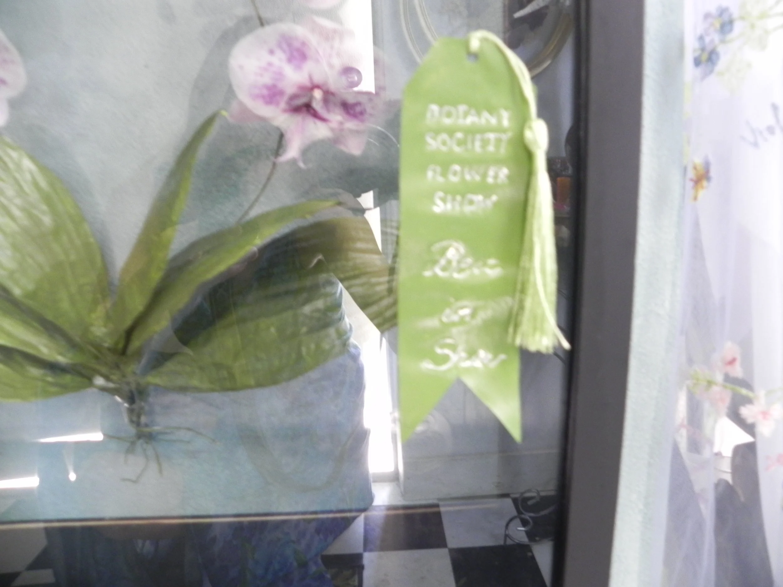 DSCN0935.JPG