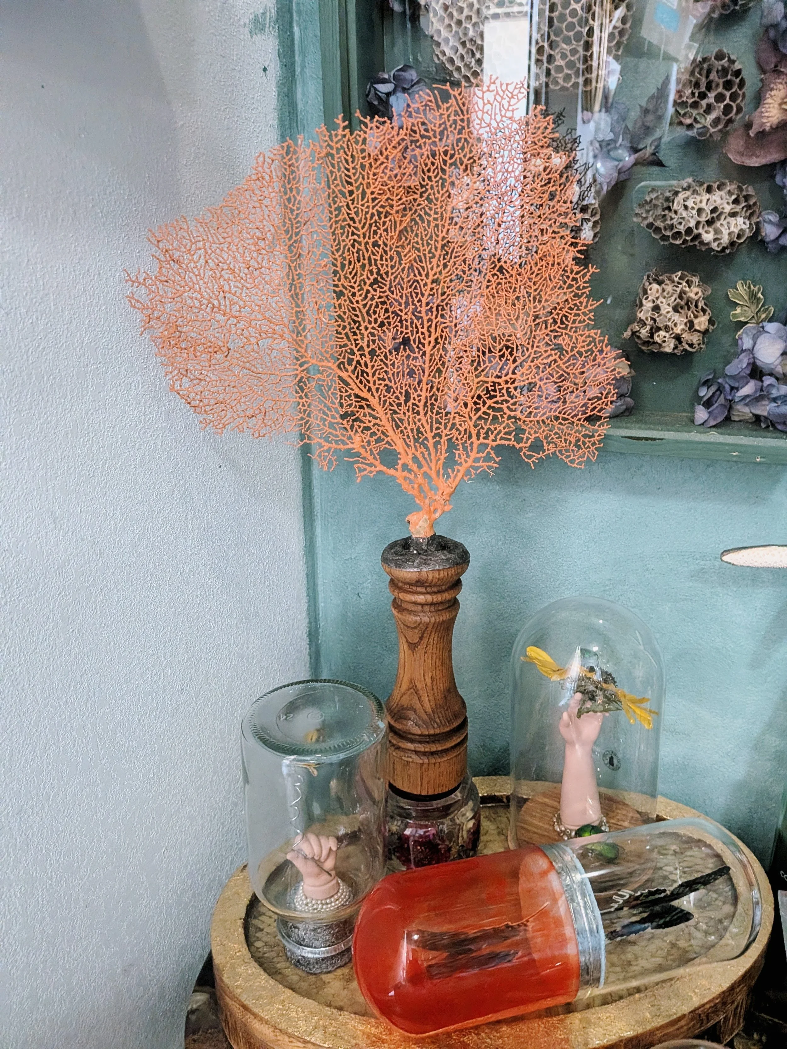 Red Sea Fan Soldered to Vintage Wood Stand