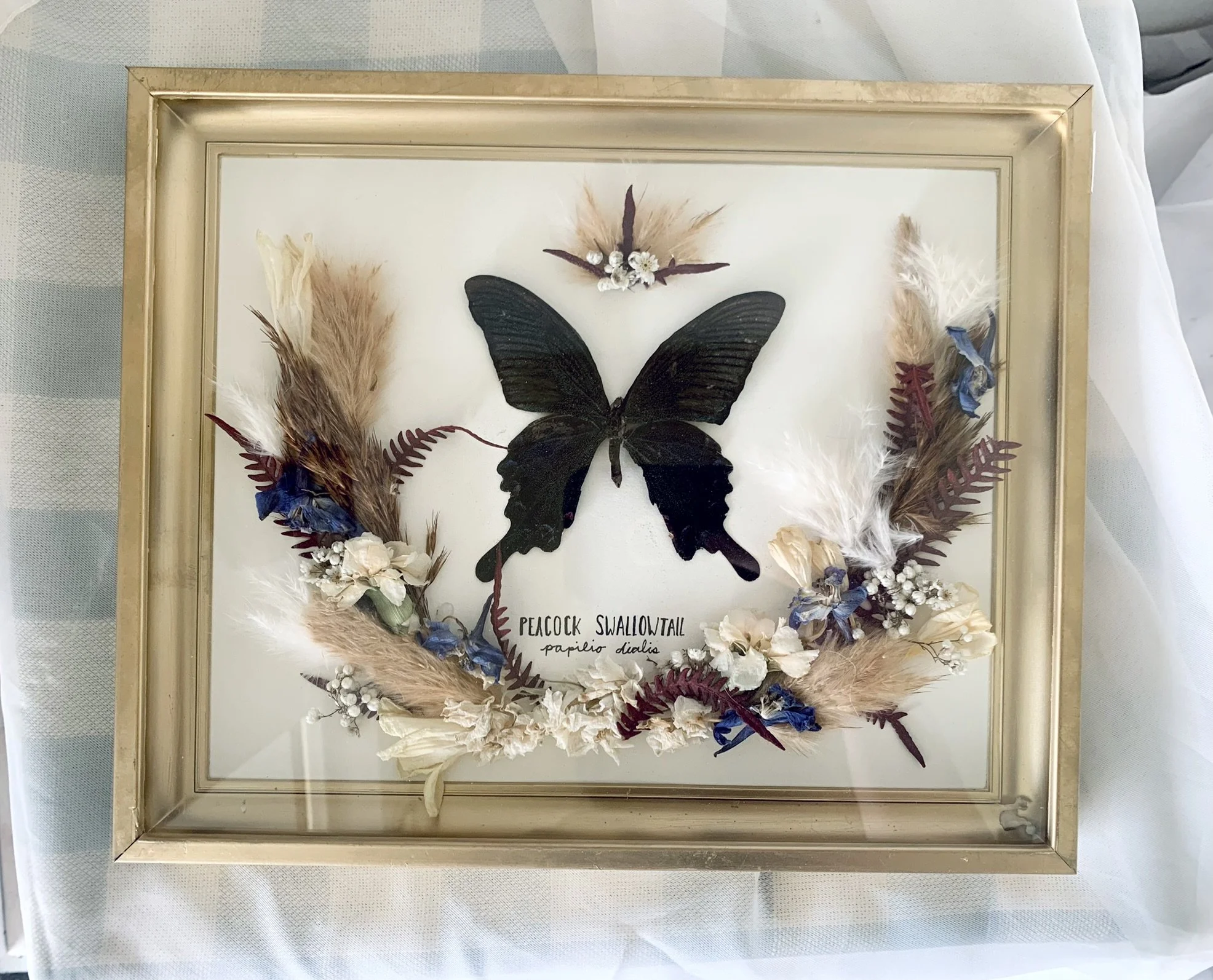 IMG_7828.JPEG (Copy)