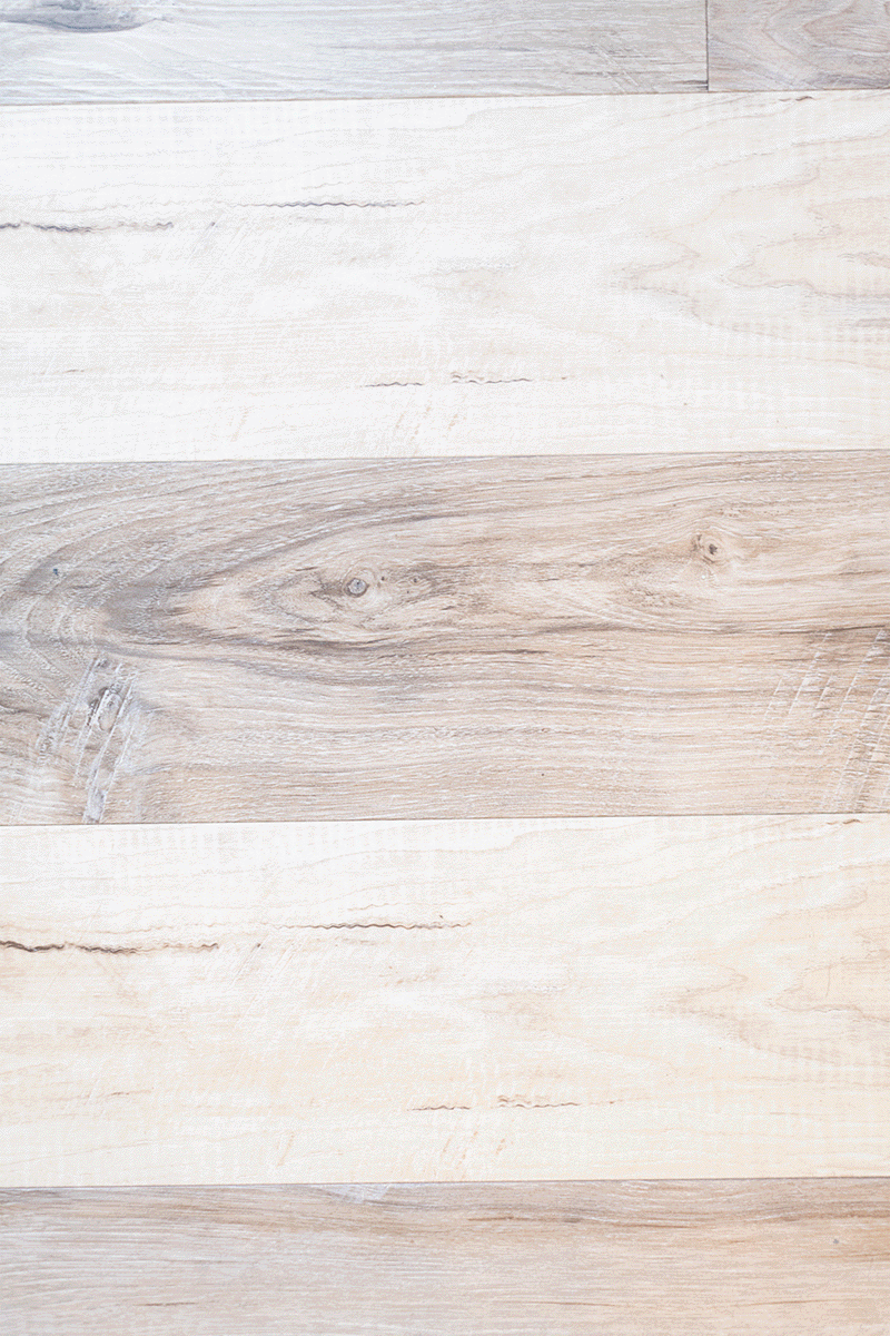 20220216-LaurenLizPhoto-bSpectacledGlasses_websize copy.gif