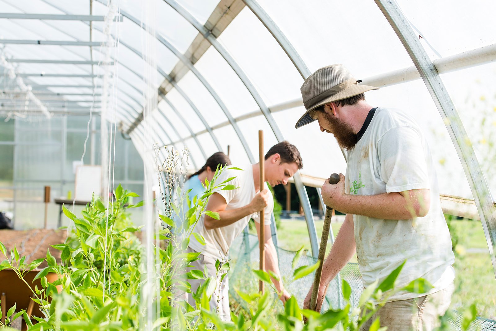 2016_KSU_Farm_LA_05_websize.jpg