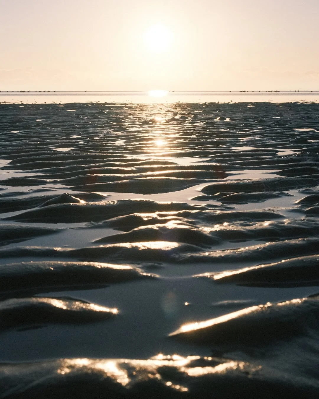 AT the pub by the quay.

At the pub by the quay, I sat adrift, with trembling hands, to ruminate on all the versions I had been before this one. 

There&rsquo;s always something missing, and always something in excess.

At times, the sea appears calm