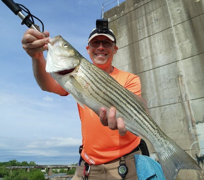 So, you want to catch a striped bass? Me too! — RVA James River