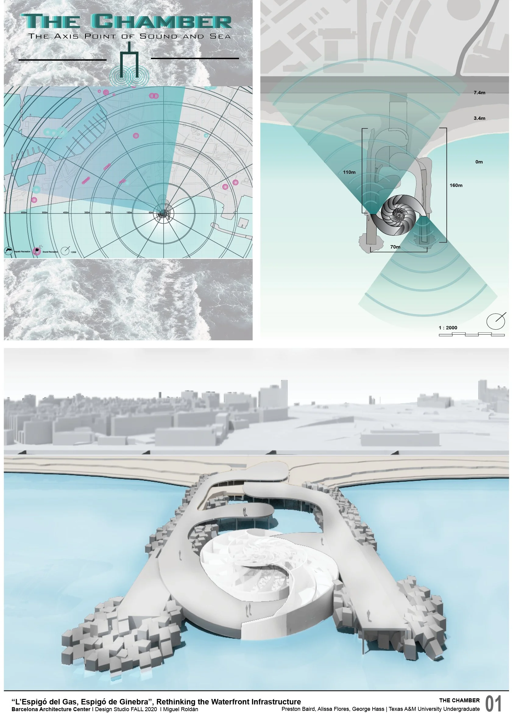 BairdFloresHass FinalBoardPAGES JPG.jpg