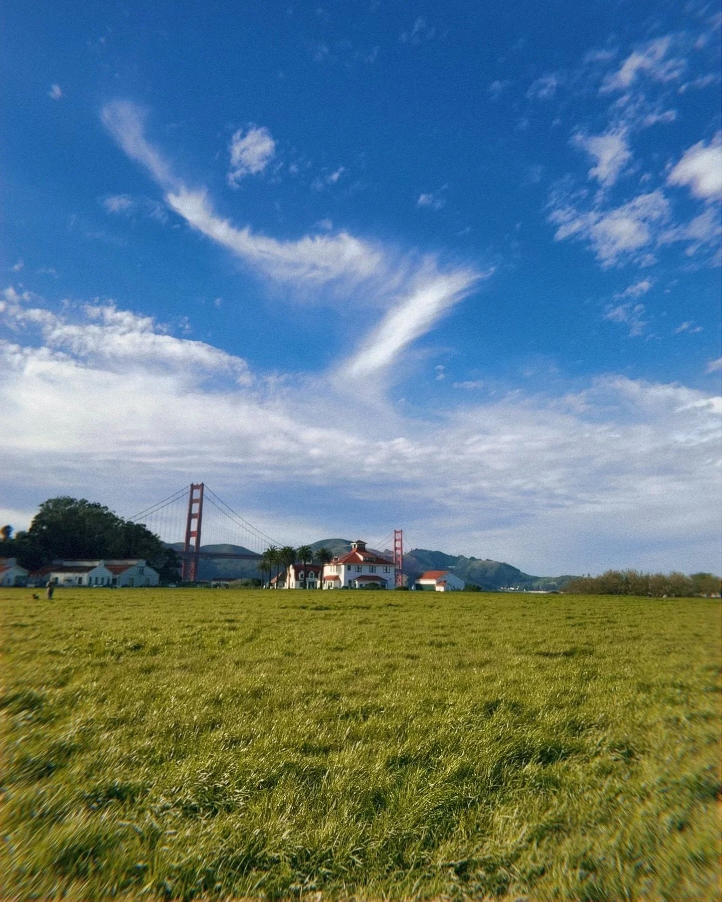 F E B R U A R Y 

1. Nice Views at Chrissy Fields 
2-4. SF flower market and @muttvillesf sister date with @debbie__david
5. Just some cuties that I love. ❤️ 
6. Emma in be raincoat. 
7. Two cuties patiently waiting for treats. 
8. Henry the hawk. 
9