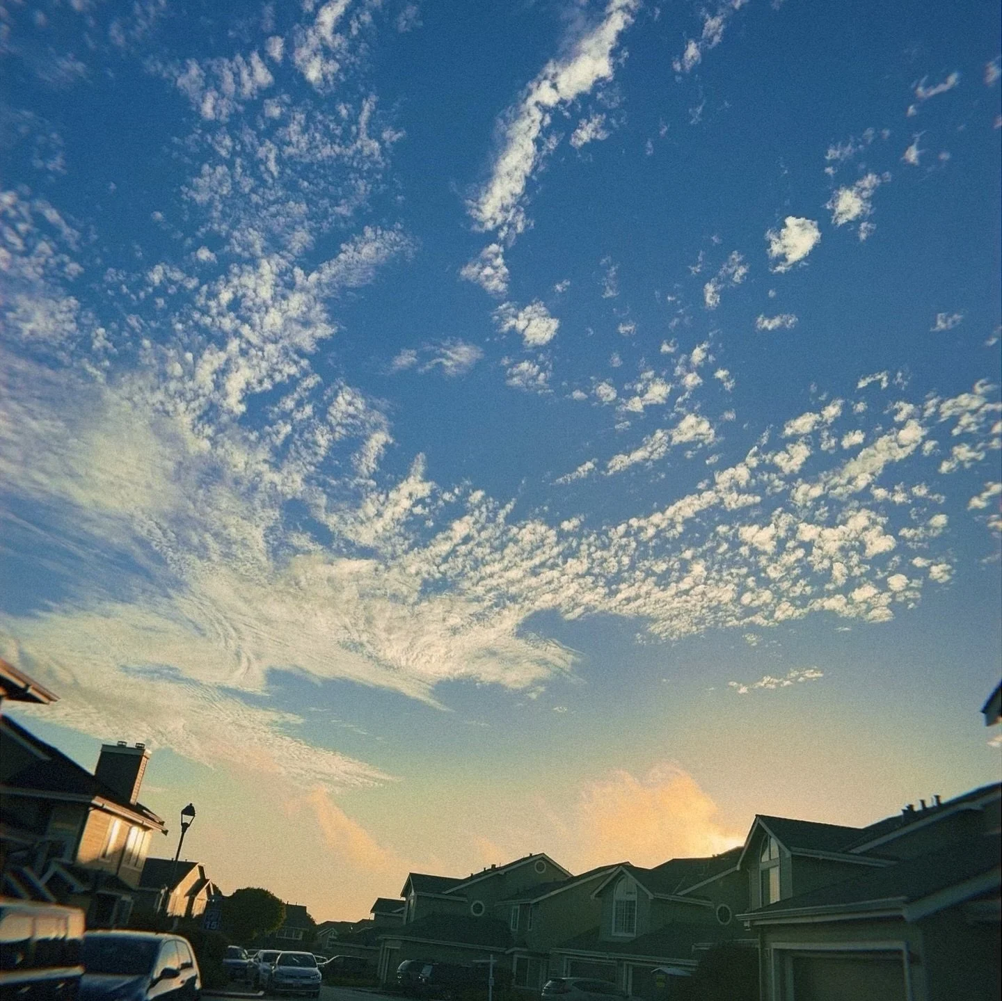 ✨A U G U S T✨
I&rsquo;ve been a bit busy this month so this recap is a week late but over all August was amazing. 💕

1. Beautiful sunset walkies cause wow the sky. 
2. Kuma Nori, so grateful we got to try it before they closed forever. 
3. The sky a