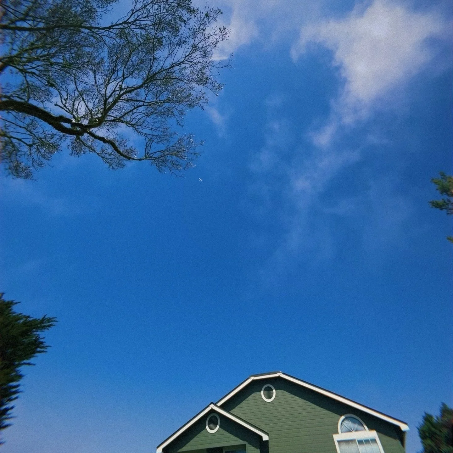 ✨ J U L Y ✨

1. Just some nice views during walkies ✨
2. Another Puzzle for the month 🧩 
3. Tim in axe throwing jail 🪓
4. Joanna in her element, guitar center 🎸
5. Fishing at Dave and Busters 🎣
6. Nugs4Lyf 🍗
7-9. Paws in the Park 🐾
10. Sunbathi