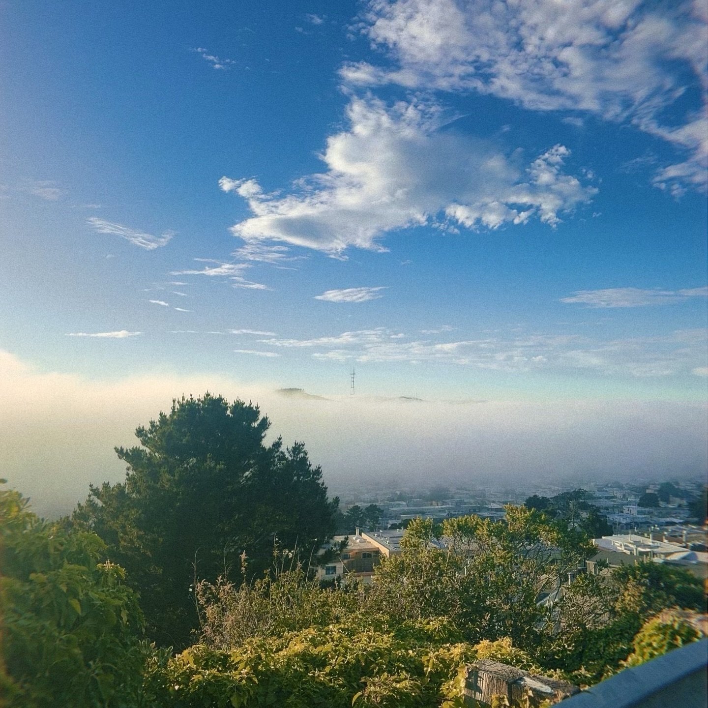 ✨ J U N E ✨ 

&bull; Nice views ✨
&bull; A handsome husband &amp; his 10k Spartan Race 🏁 
&bull; Emma the skater girl 🛹
&bull; Sunsets with @jkitsjoanna @m_w30 and @sweetieindacity ☀️
&bull; A Happy Kenji birthday (aka Emma&rsquo;s favorite hooman)