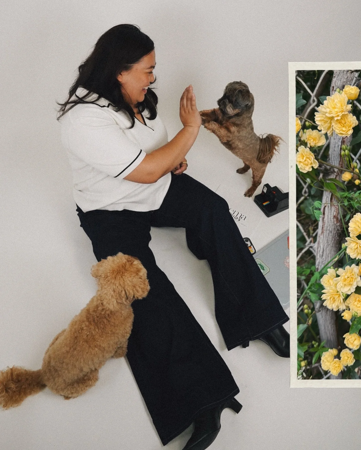 Better late than never, here&rsquo;s FEBRUARY &hearts;️
.
.
.
#febrecap #2026 #visualmemories