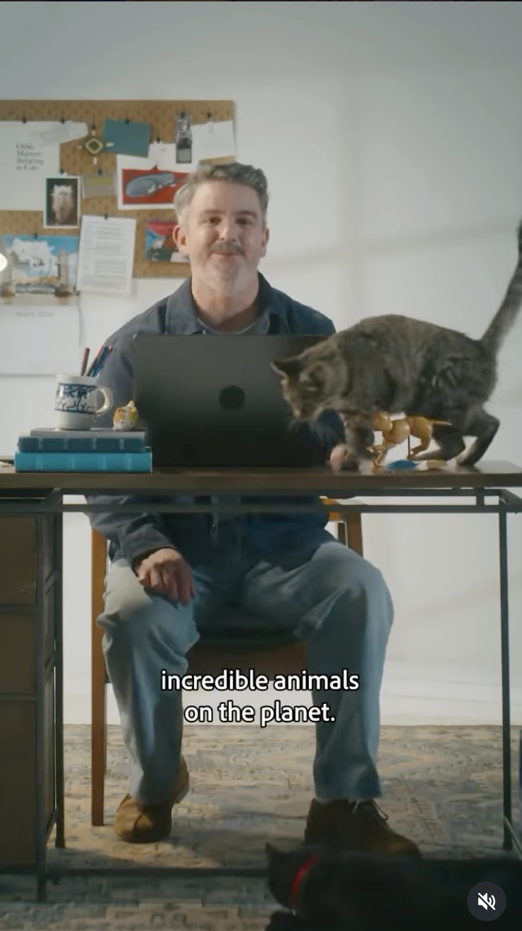 Photoshop / Production Designer