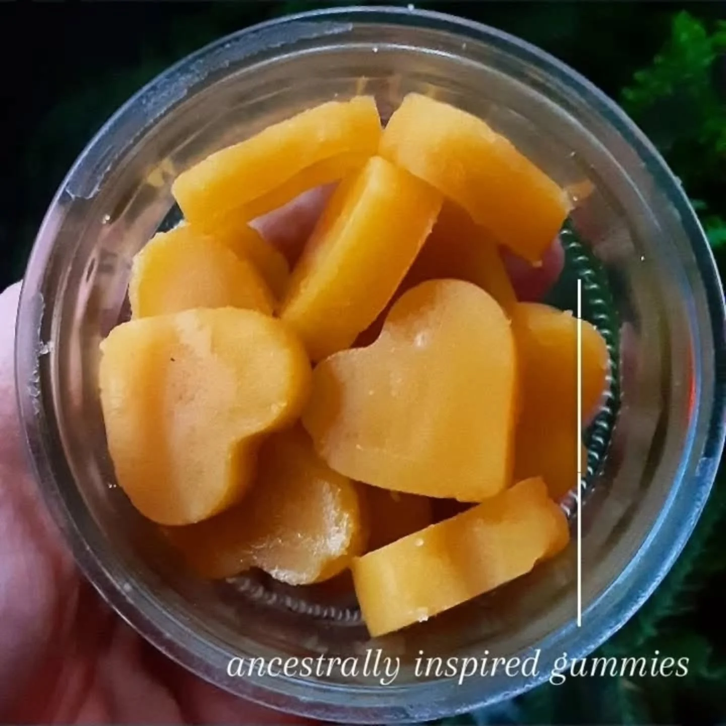 These are one of my favourite ways to get more natural vitamin C by using fresh orange juice. 

Vitamin C in abundance is needed for proper progesterone production to help balance estrogen and have fertile cycles. 

Of course, our ancestors probably 