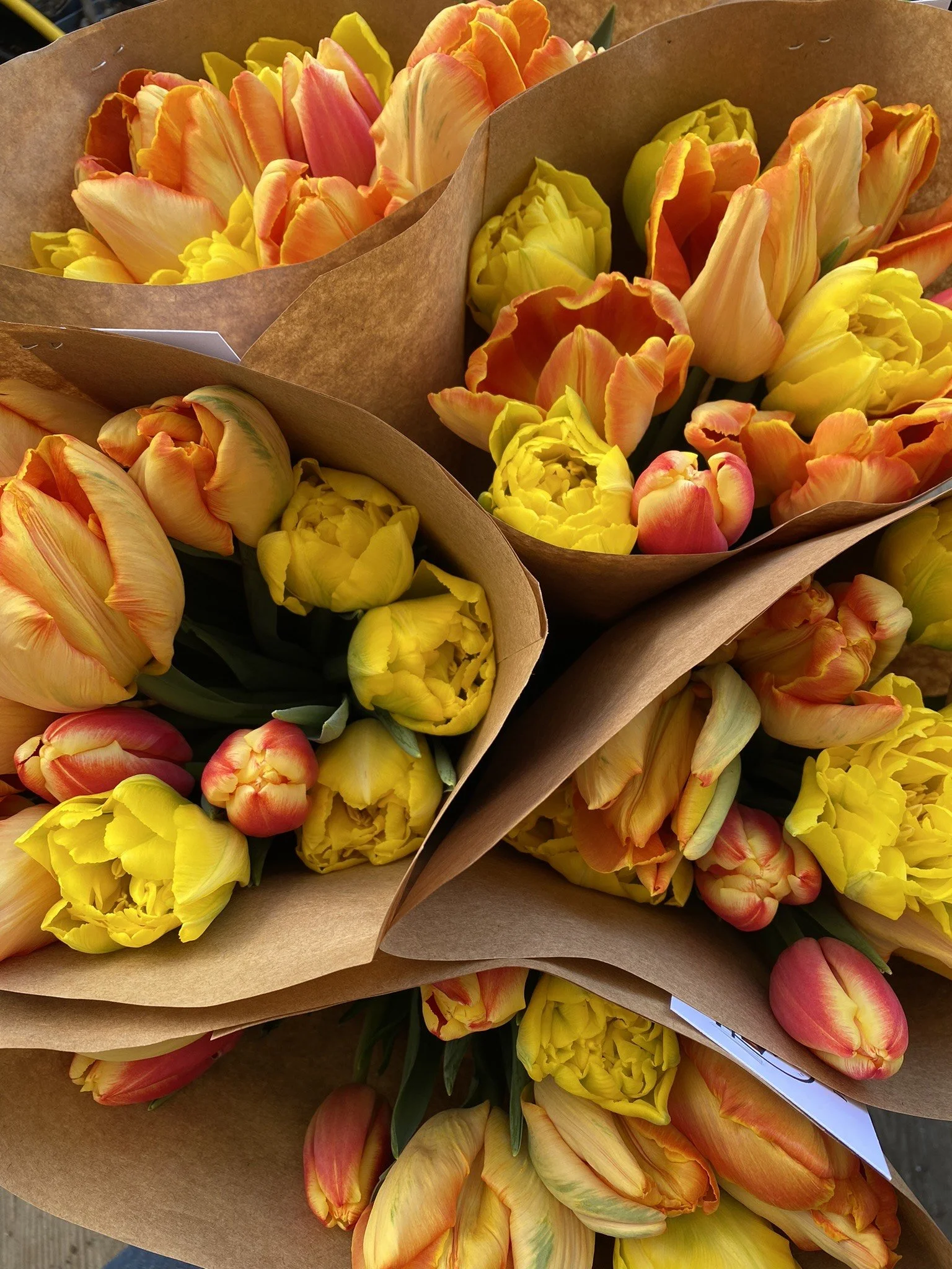 Shop — Pease Hill Farm