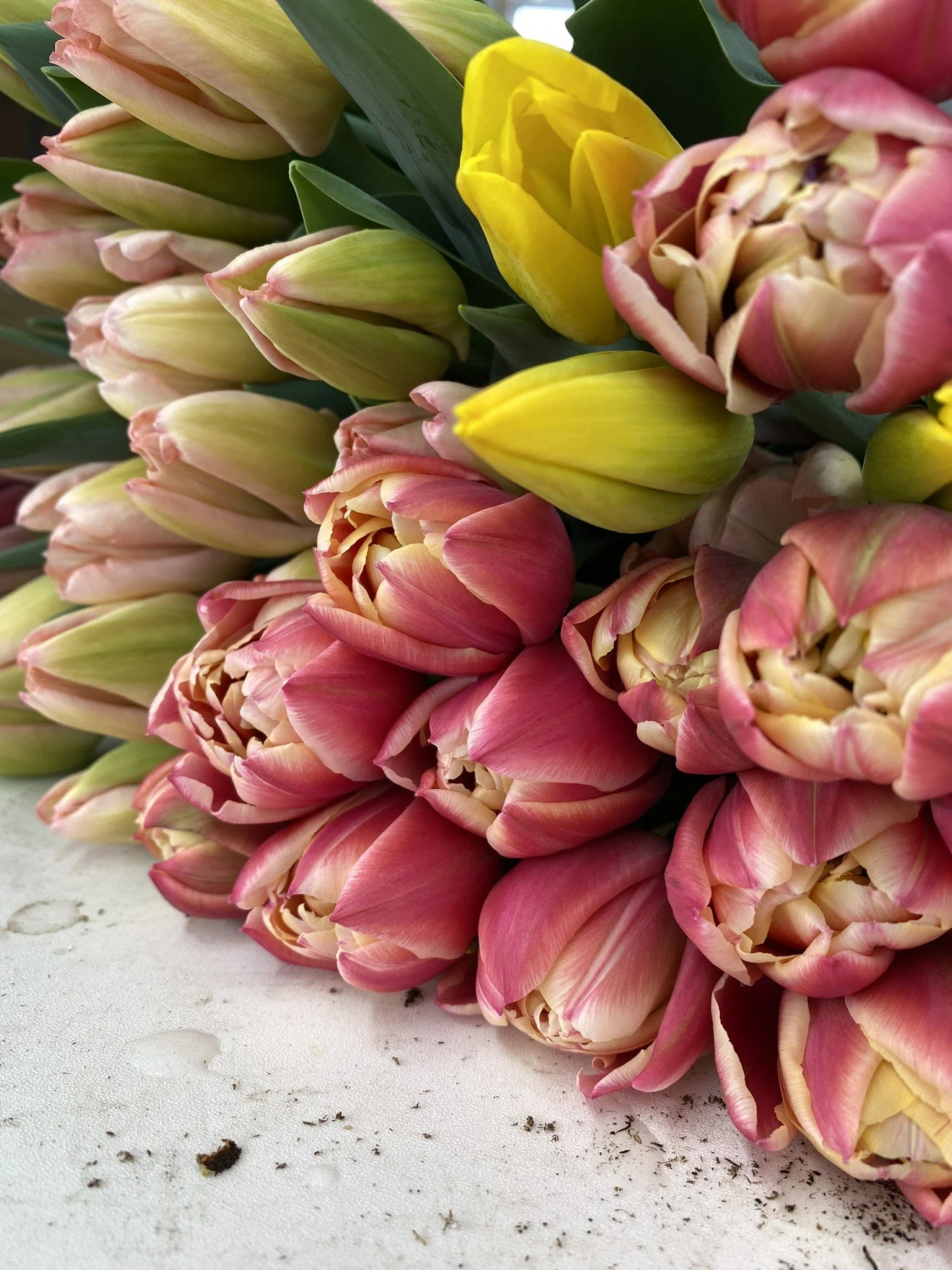 Shop — Pease Hill Farm