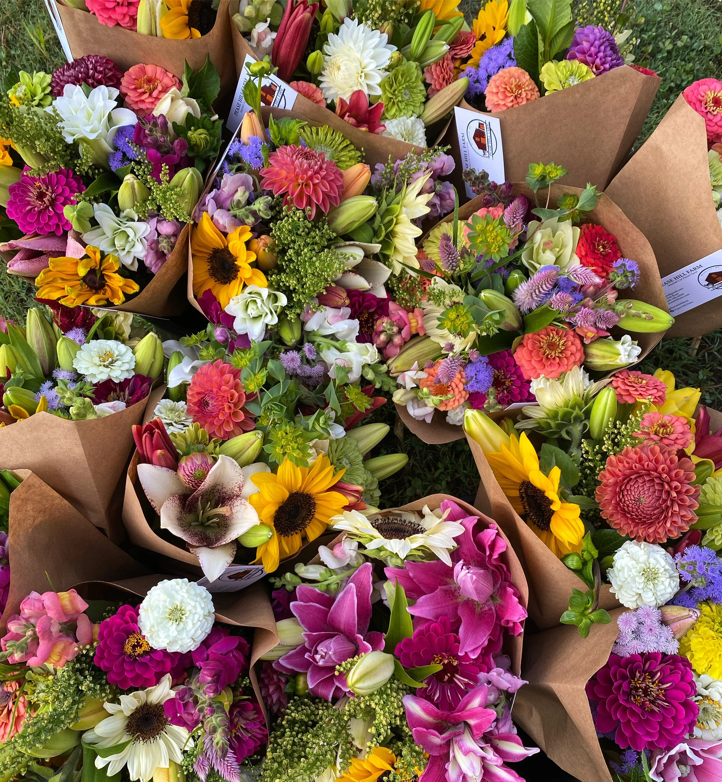 Shop — Pease Hill Farm