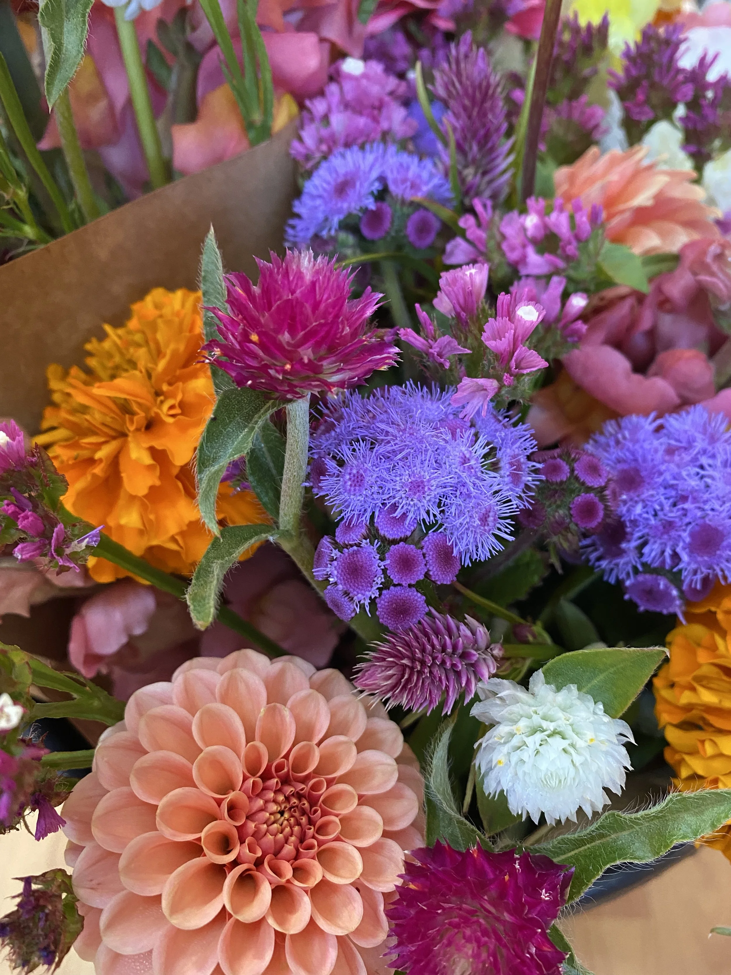 Shop — Pease Hill Farm