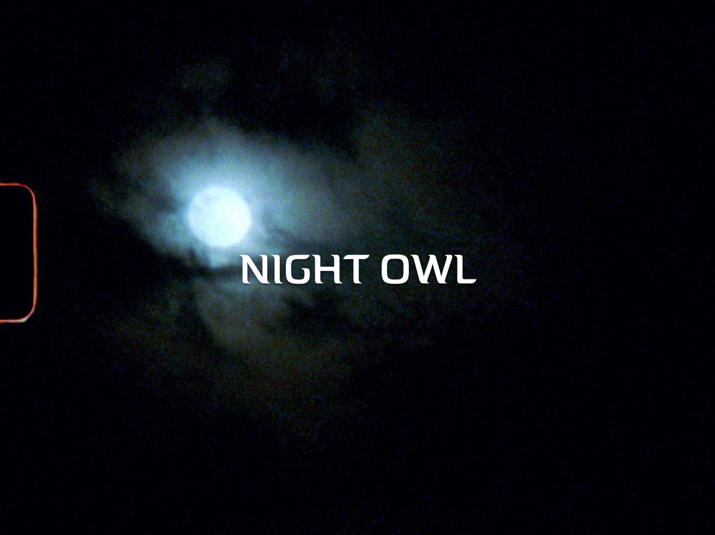 NIGHT OWL (TITLE).jpeg