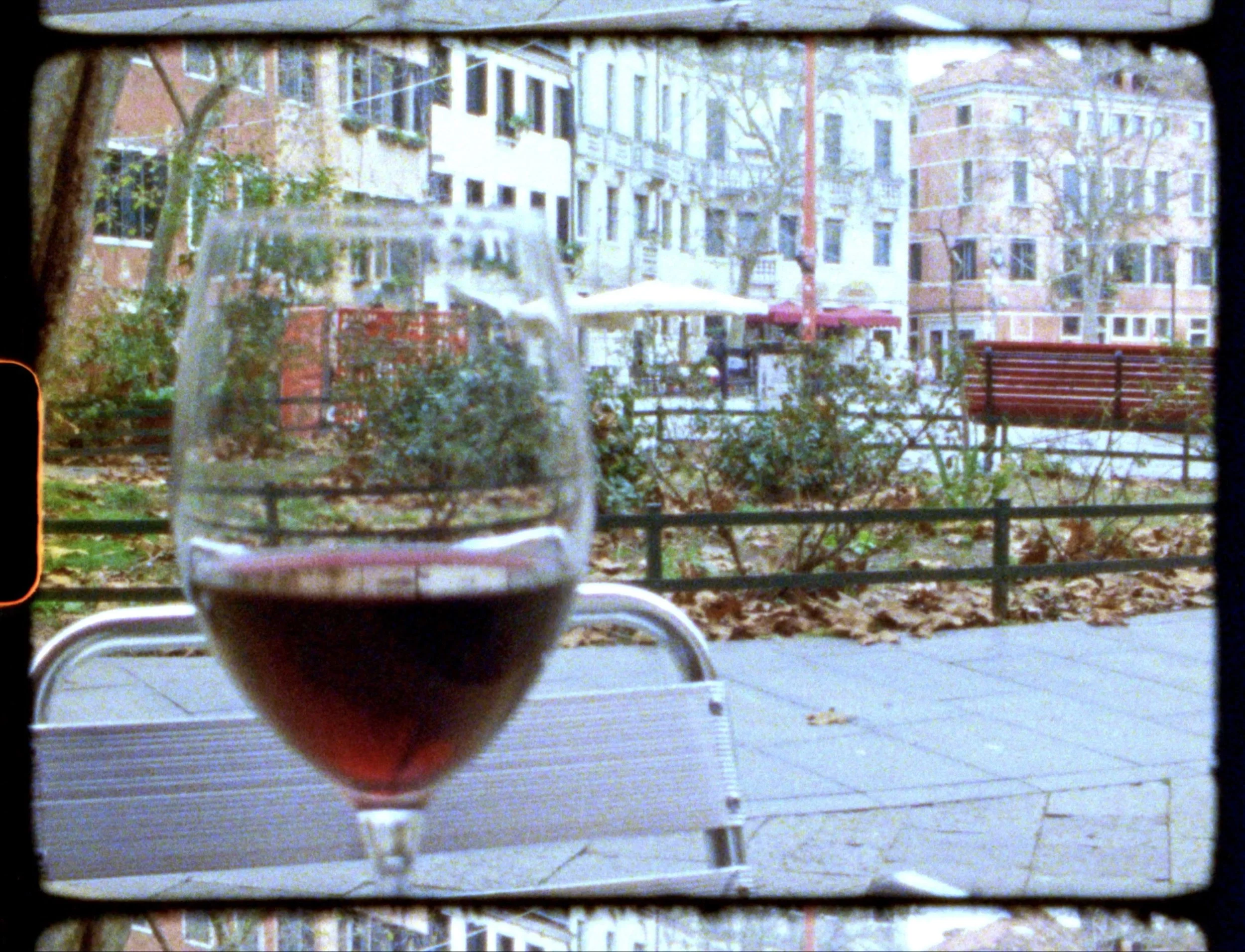 Wine.jpg