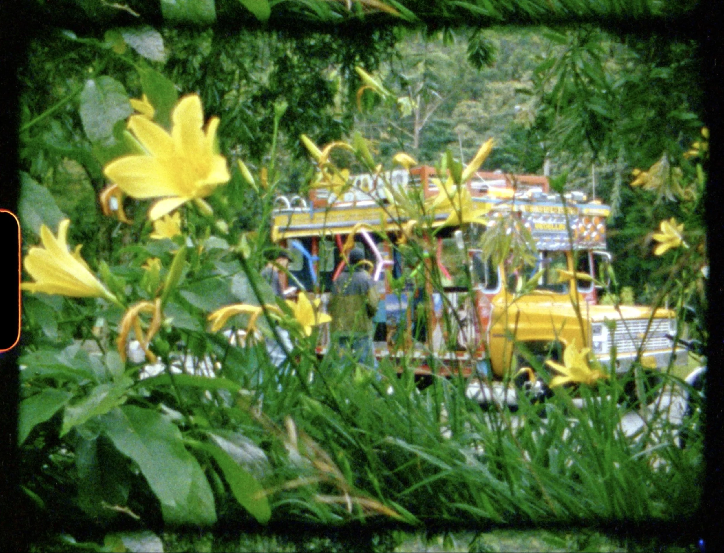 YELLOW FLOWER 2.jpeg