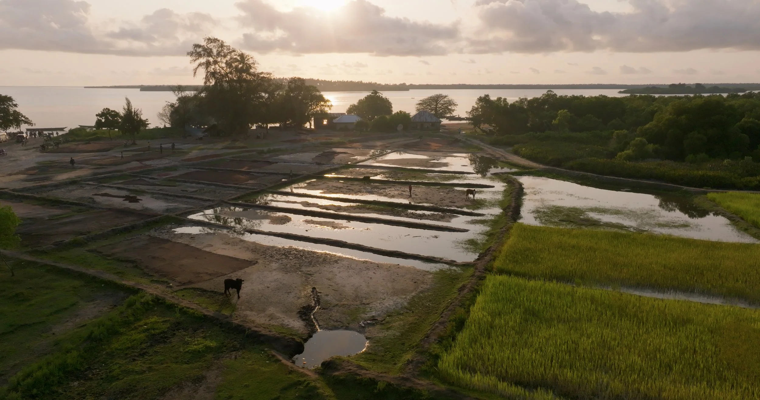 Zanzibar_01_1.16.1.jpg