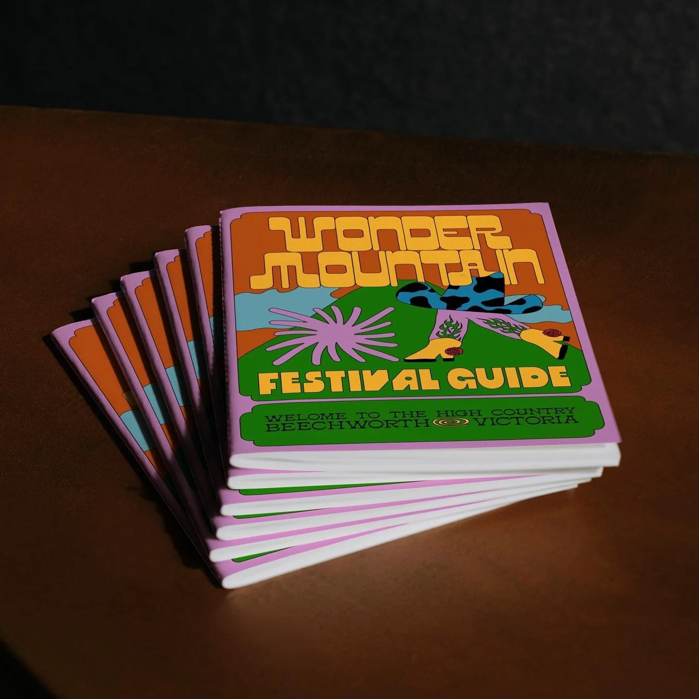 Logo, branding and illustration for Wonder Mountain Festival 🤠