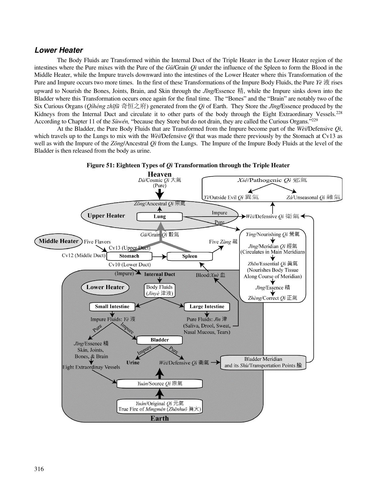 MF_p340_qi-transformation.jpg