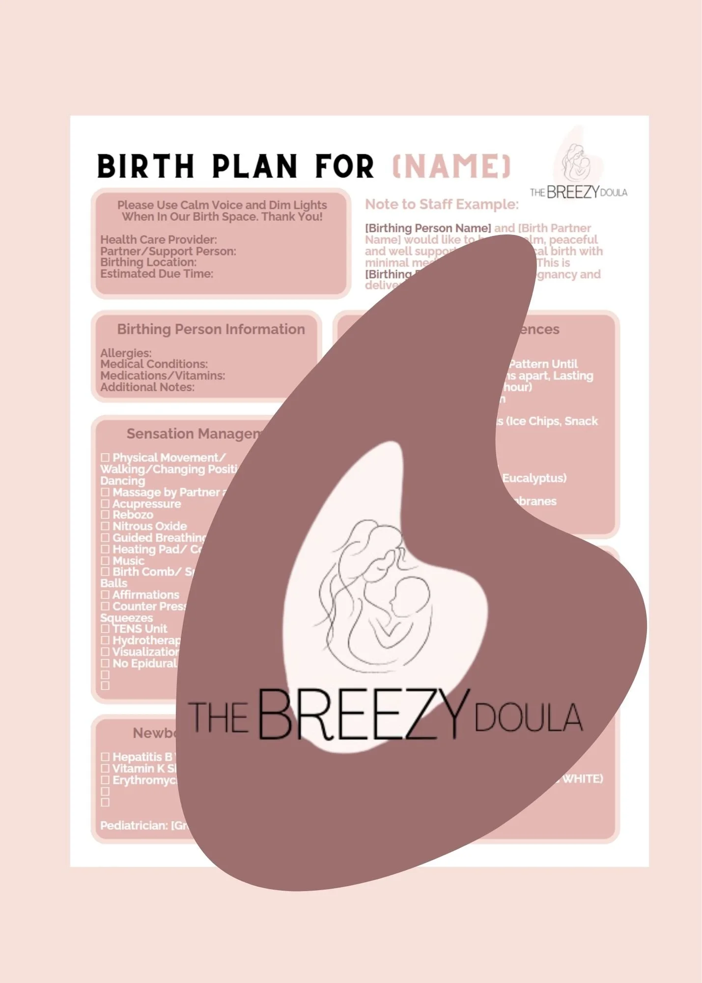 Breezy Birth Plan Template