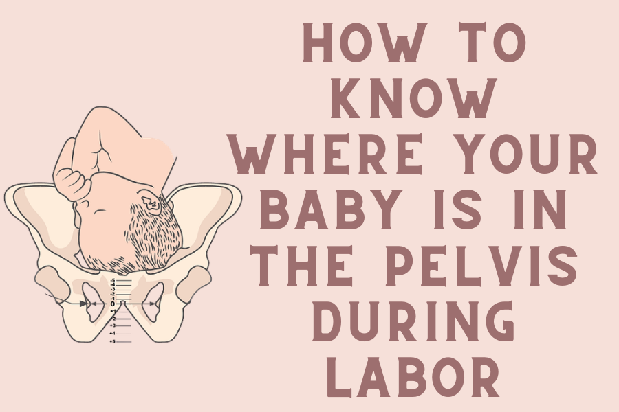 How to Know Where Your Baby Is in the Pelvis During Labor
