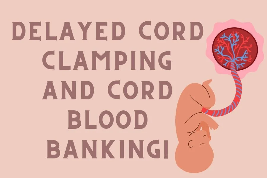 Delayed Cord Clamping &amp; Cord Blood Banking: What Every Parent Should Know