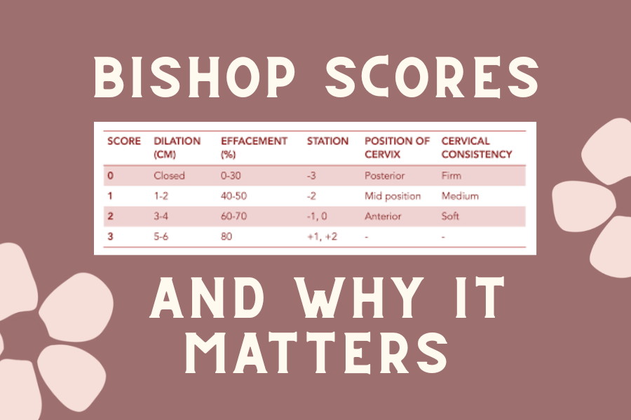 A graphic of bishop scores, designed by The Breezy Doula.
