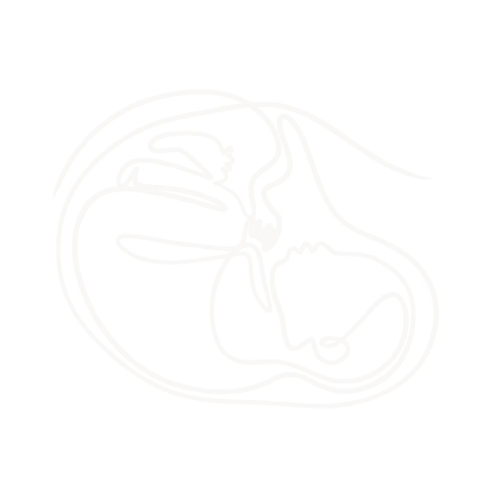 A simple, white drawing of a baby in the uterus on The Breezy Doula website.