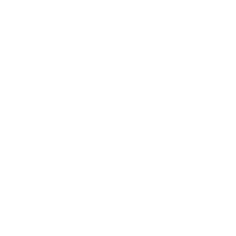 A graphic of an outline of a flower on The Breezy Doula website.