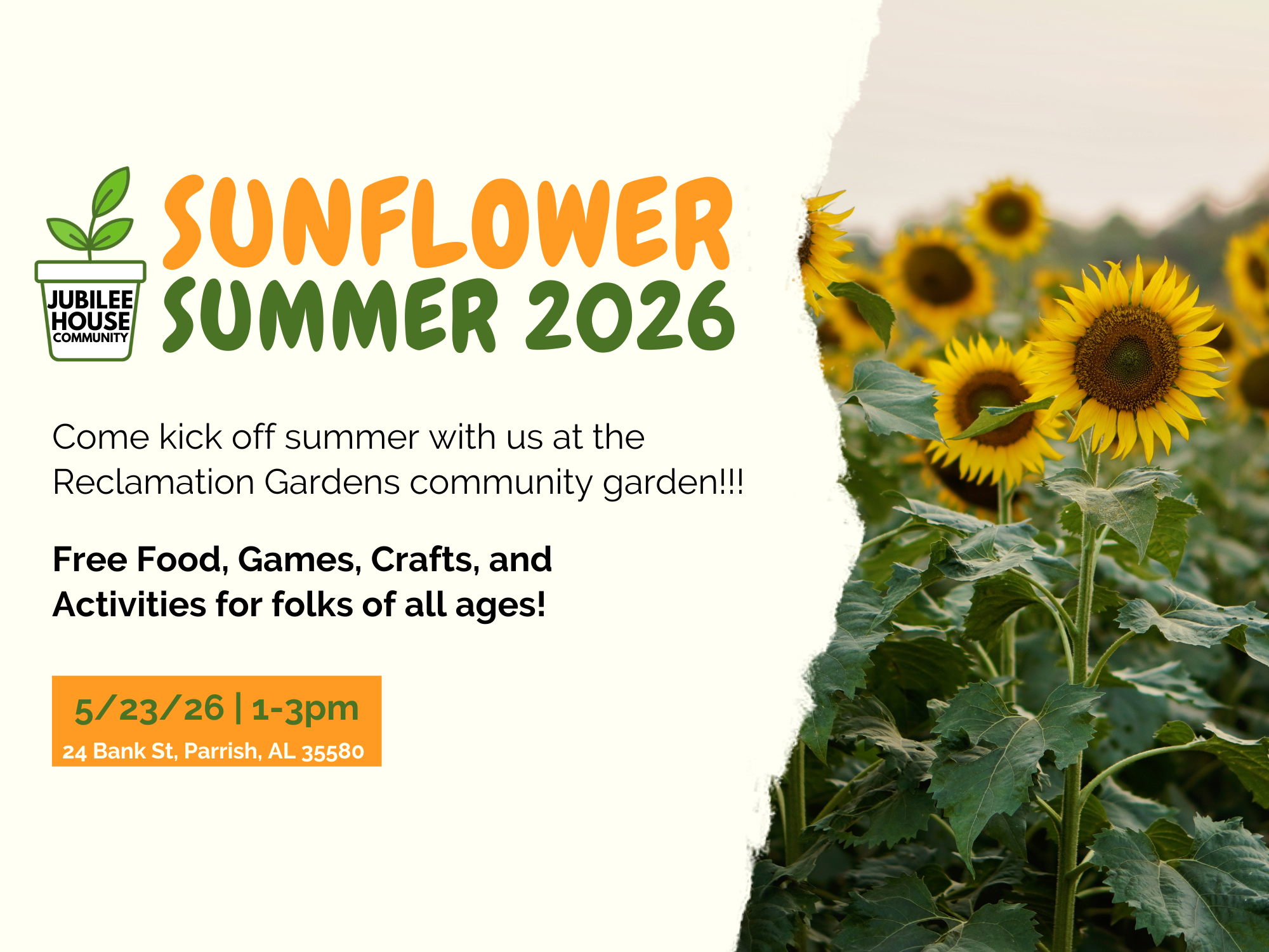 Sunflower Summer! 2026