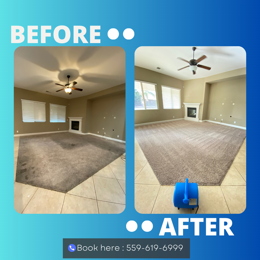 Carpet Cleaner Near me.png