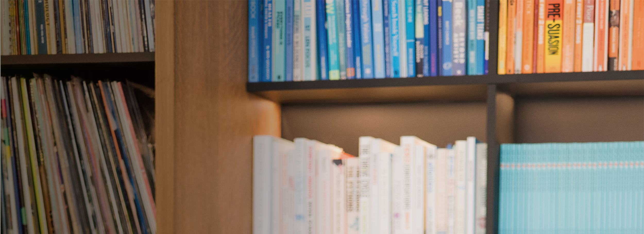 Photo of a bookshelf with colorful books organized on shelves, partially blurred.