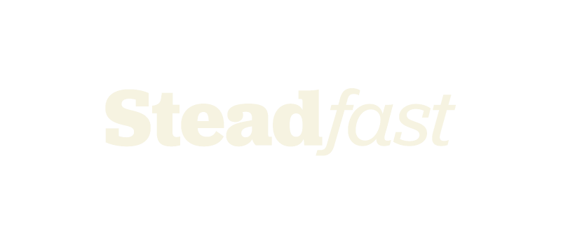 Text that reads 'Stead fast' with stylized typography on a black background.