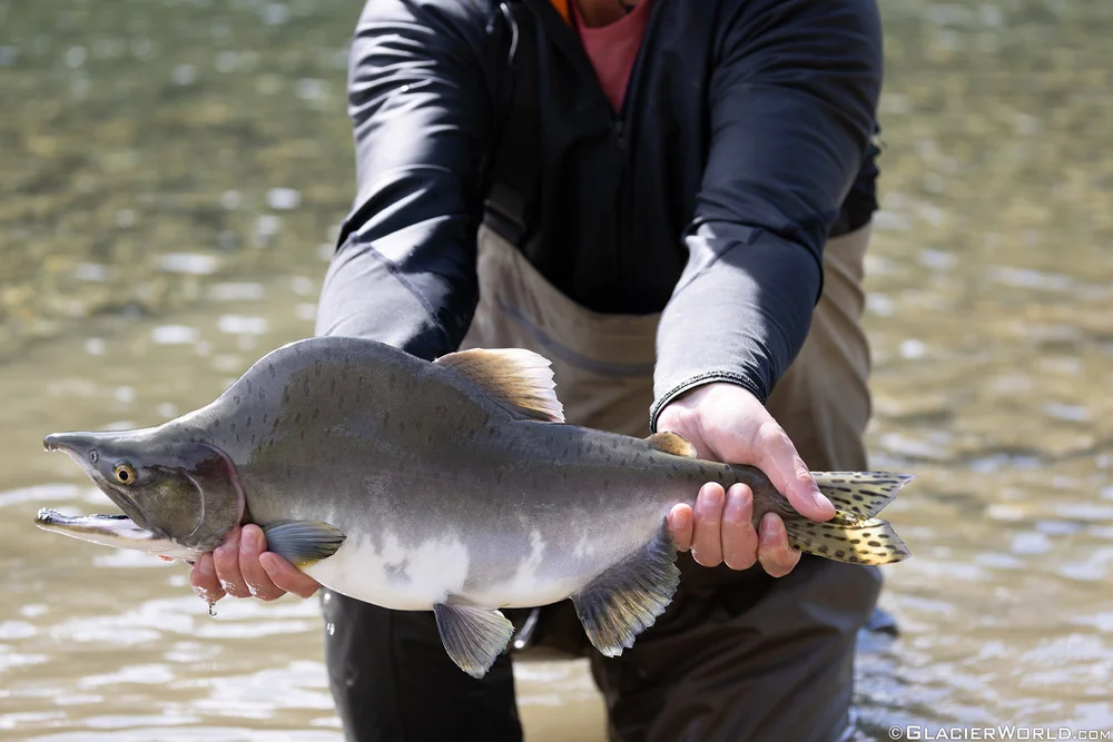 09.23.2023.CMM.4822 2.JPG