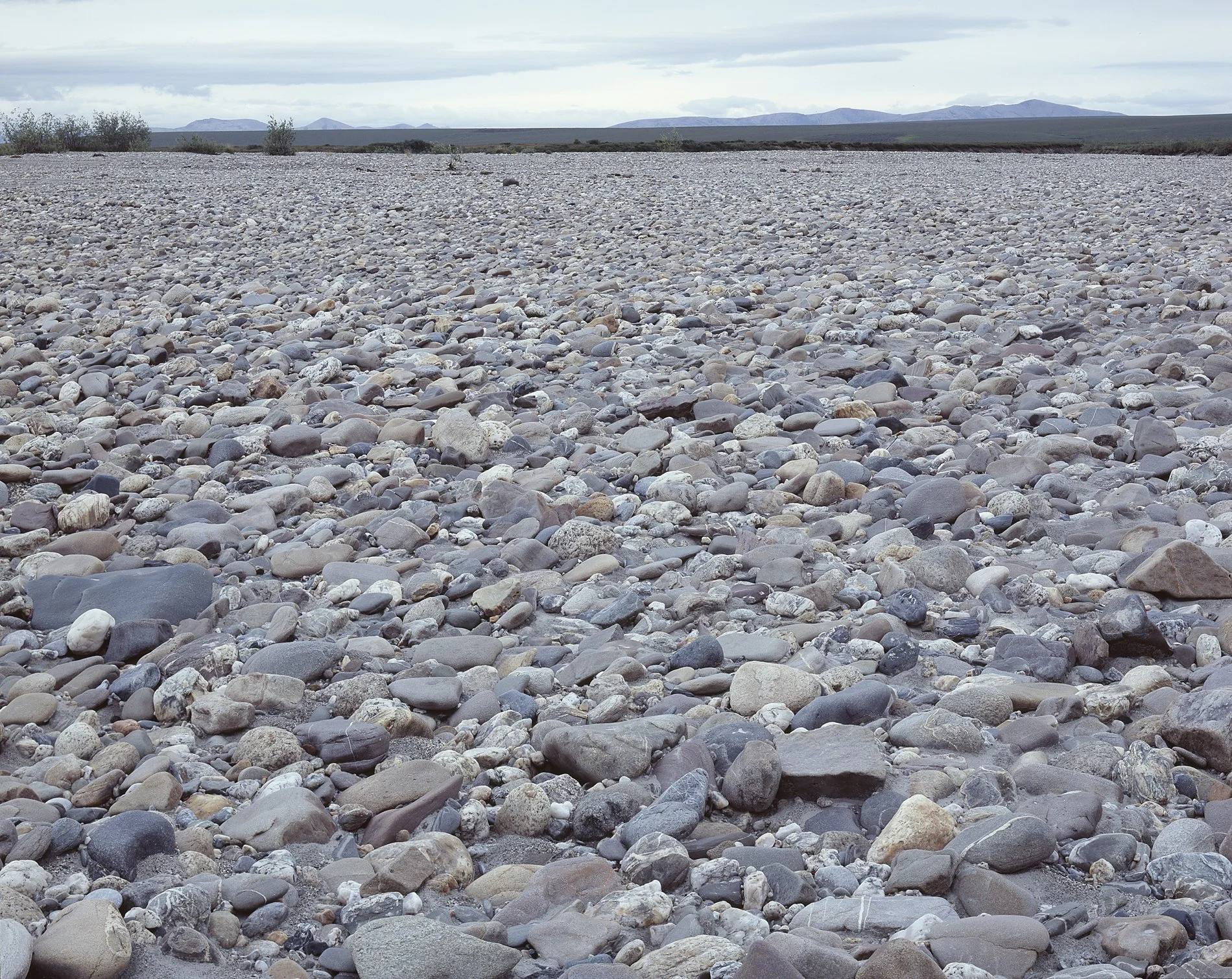 Noatak Gravel bar.jpg