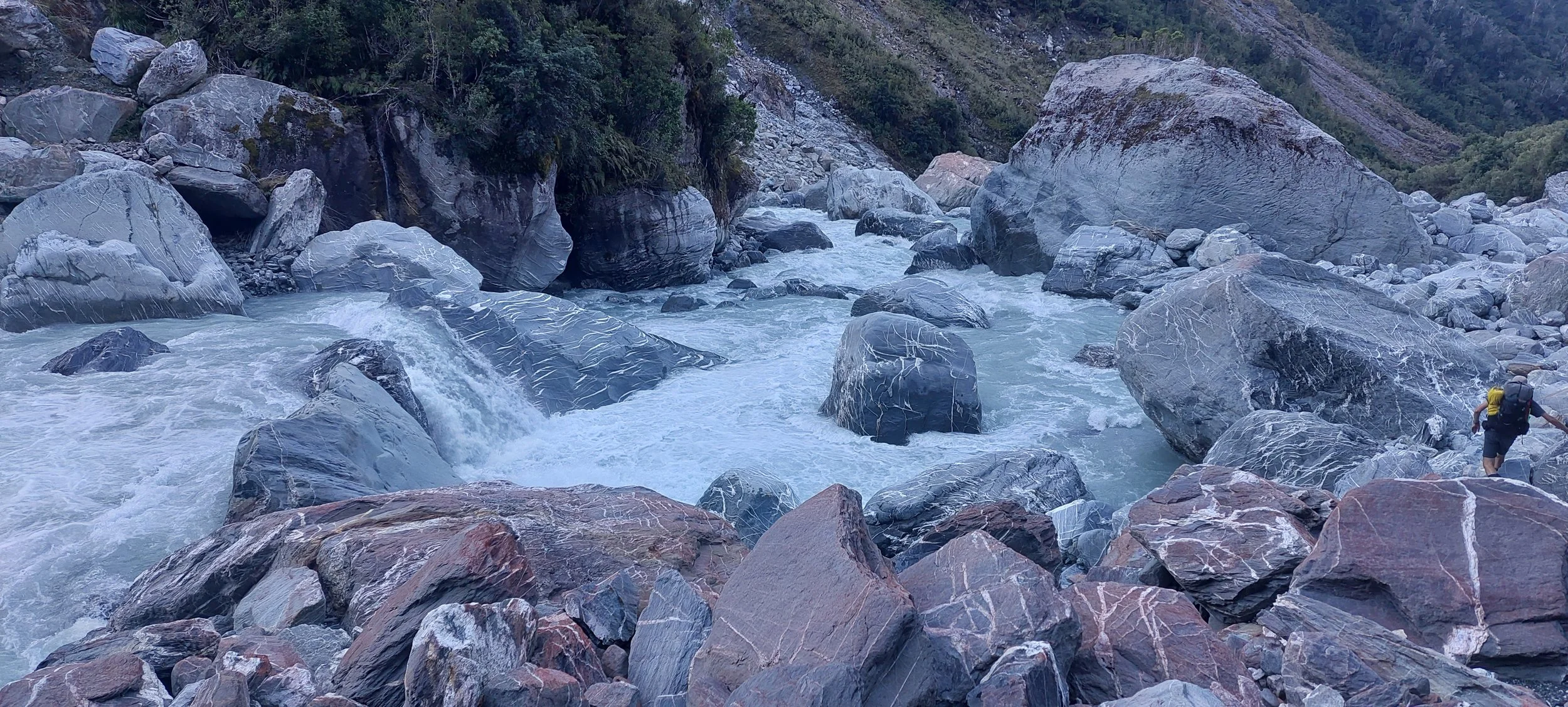 20250319_175045.jpg
