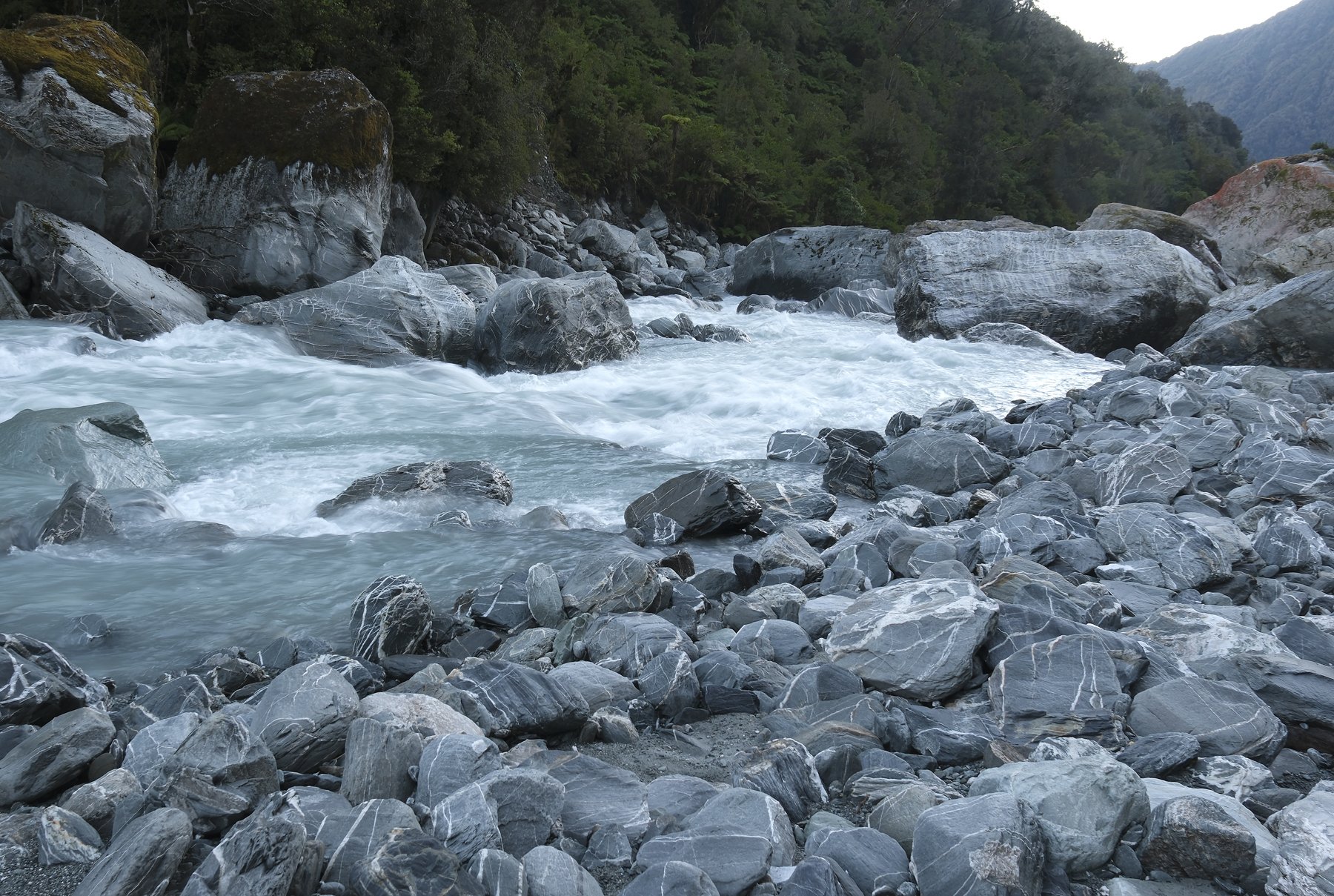 DSCF0194.jpg