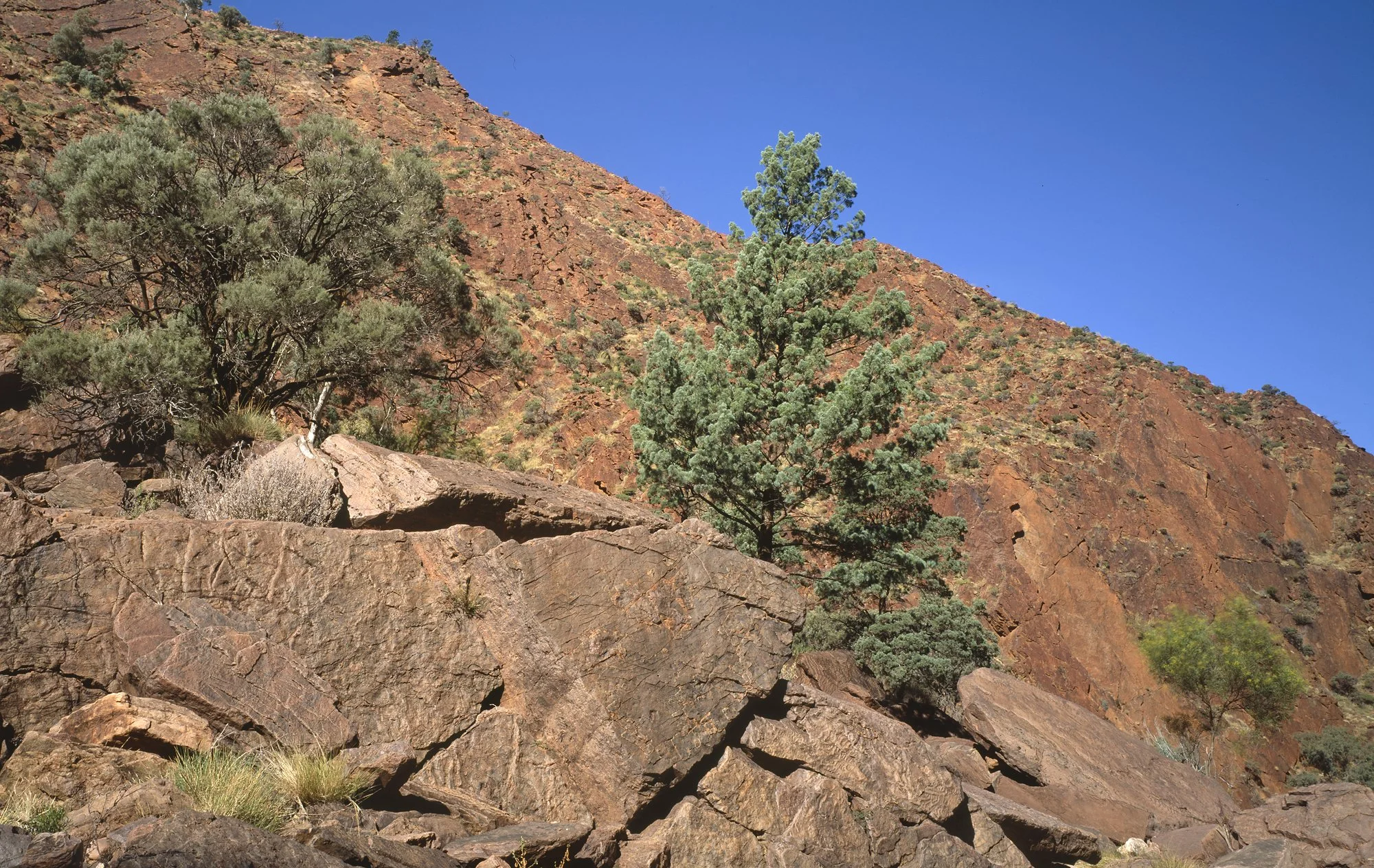 Northern Flinders Ranges.jpg