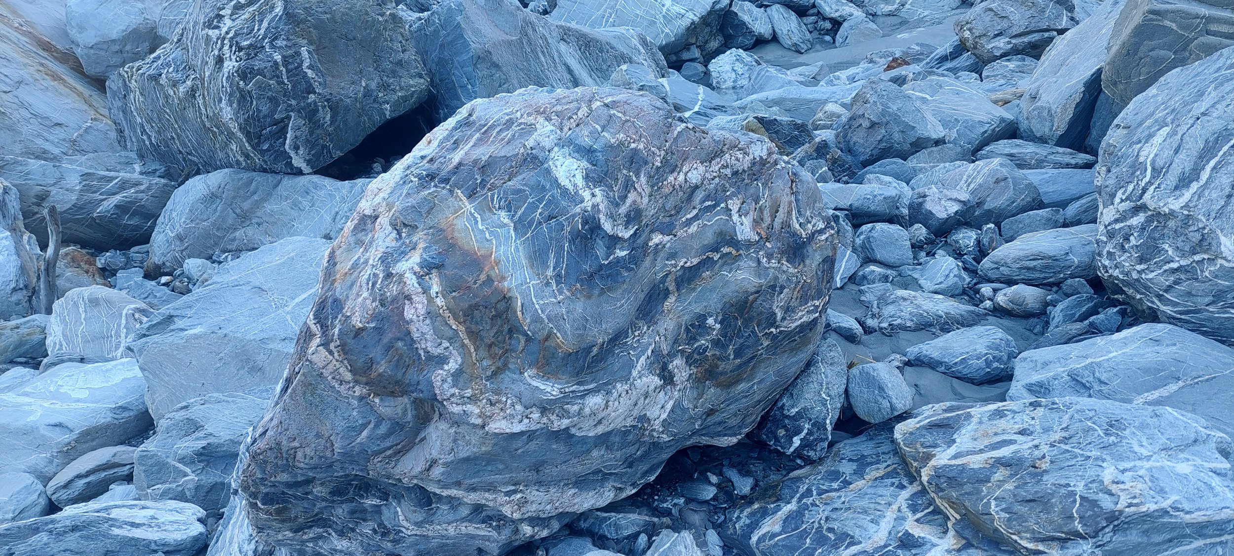 20250319_163350.jpg