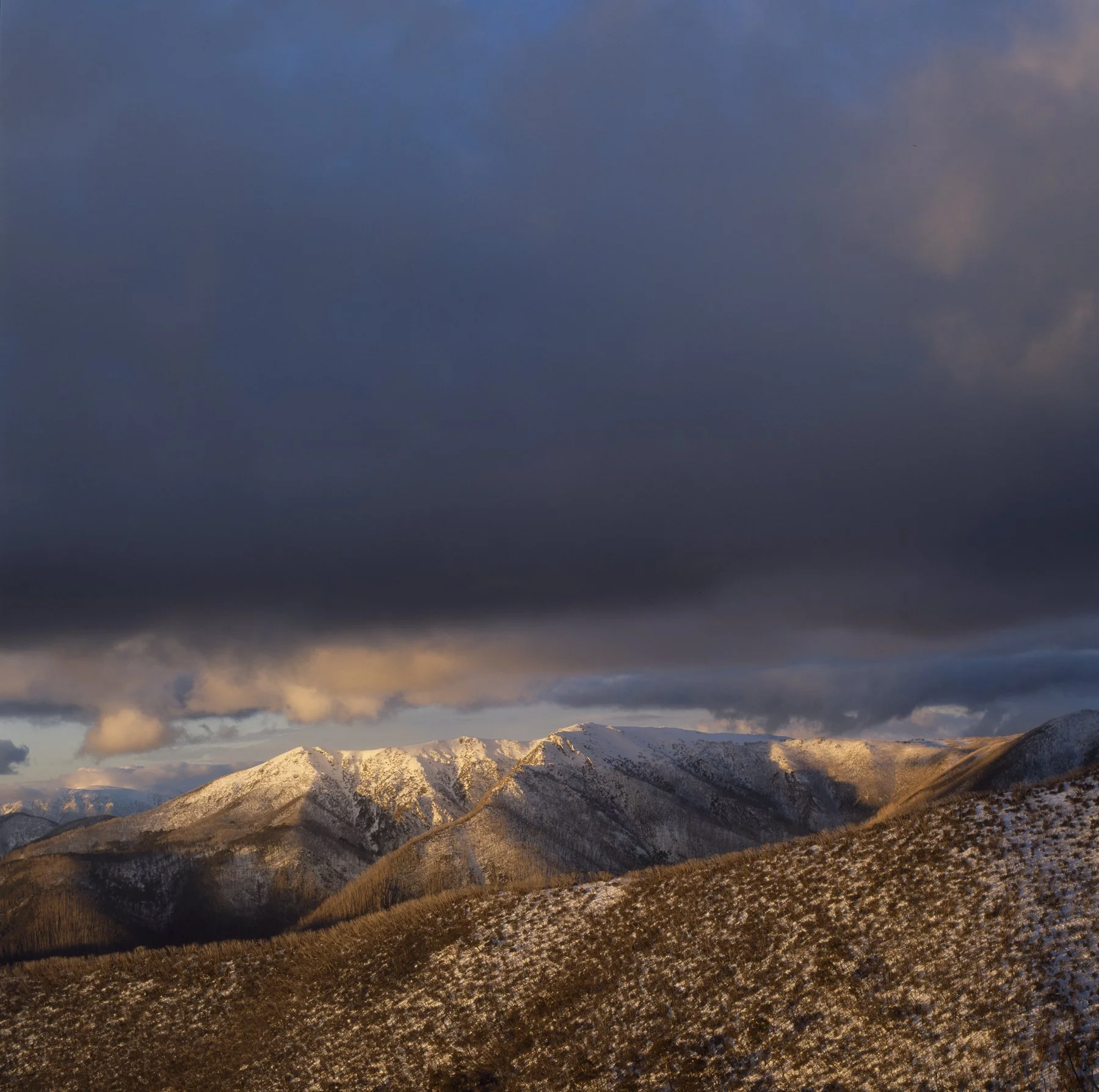 Bogong High Plains View.jpg