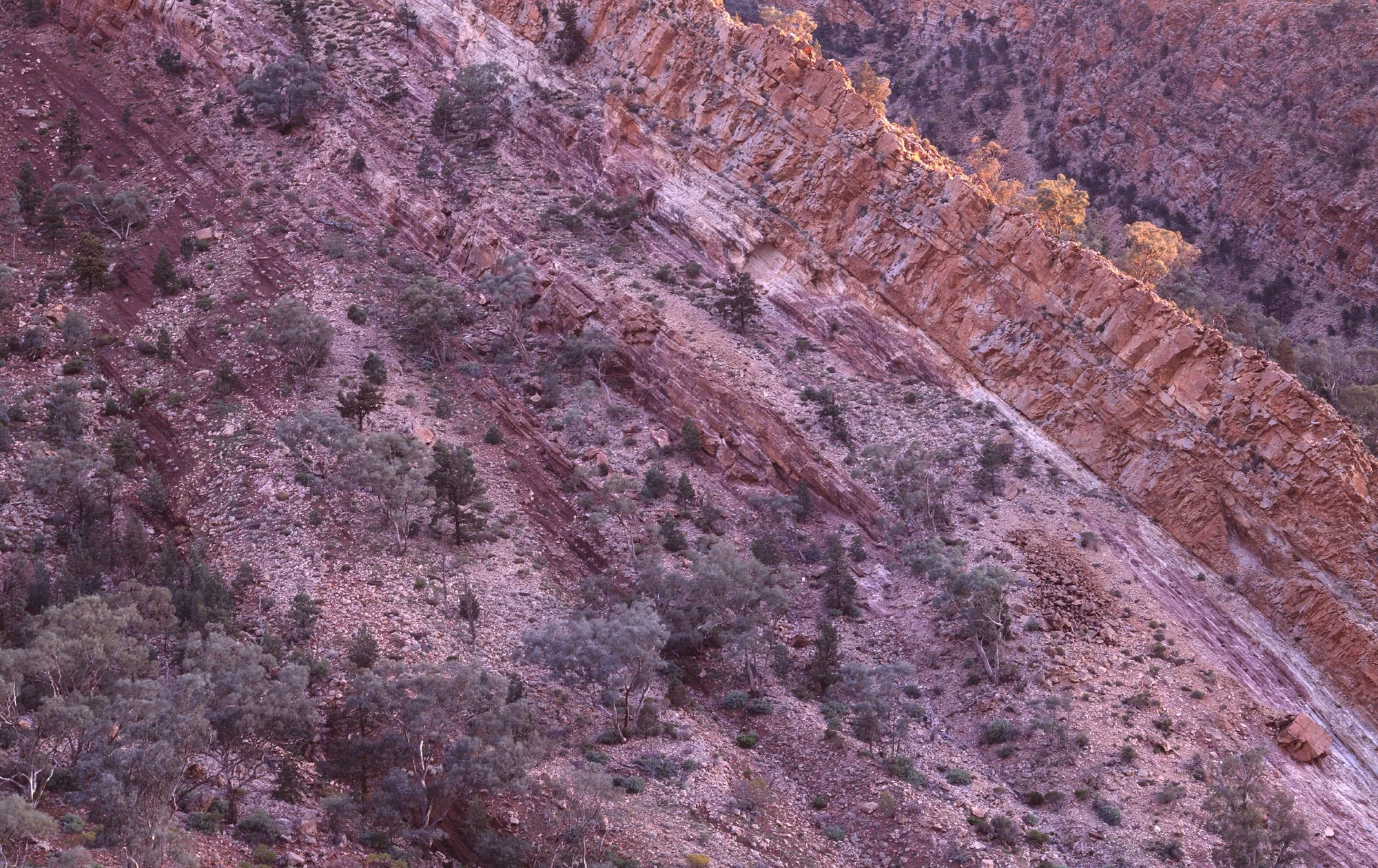 Brachina Gorge.jpg
